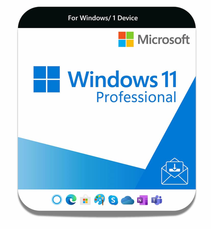Microsoft Windows 11 Professional 
